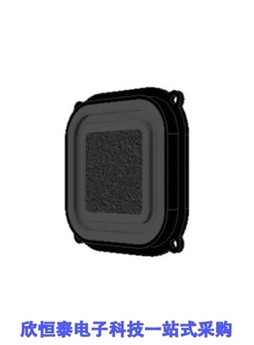 AS06004PS-R/AS06008PS-R/AS0600J0100T5E