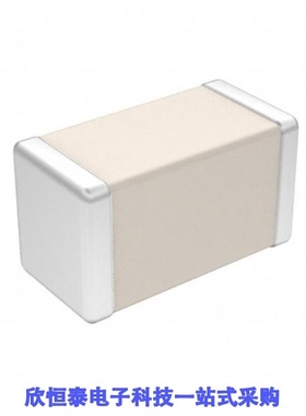 600S100FT250XT/600S100FW250XT/600S100GT250XT