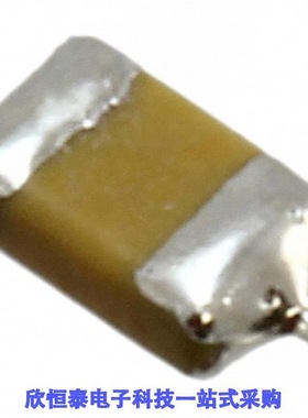 F950J107MAAAM1Q2/F950J107MAAAQ2/F950J107MBAAQ2