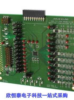 MAX17119EVKIT+/MAX1711EEG/MAX1711EEG+