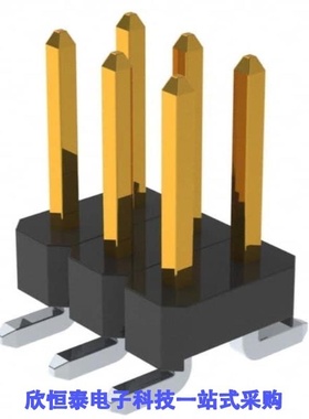 PM20206VBDN/PM20206VBNN/PM2024