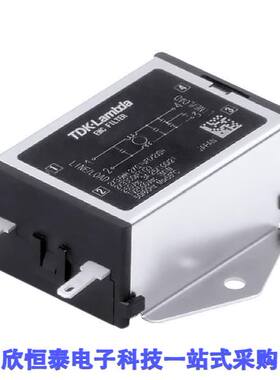 RSEL-2006A滤波器 《 LINE FILTER 250VDC/VAC 6A CHASS    》
