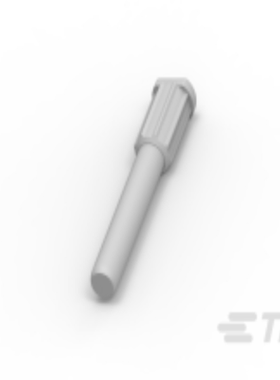 1981562-1/1981568/1981568-1