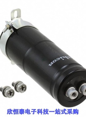 LNT2W331MSEC/LNT2W331MSECBN/LNT2W332MSEG