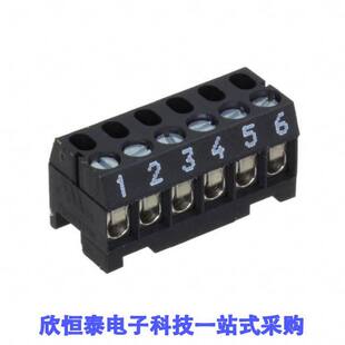 TYPE SCREW 09连接器 BLO RIGH TERMINAL 31166106