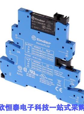 39.31.0.024.0060继电器 《 MASTERPLUS RLY SPDT 6A 24V    》
