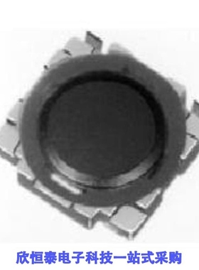 SKRBAAE010/SKRBACE010/SKRBAGE010