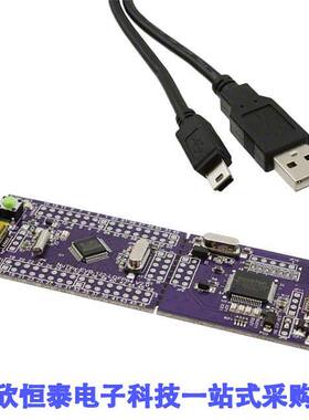 NT-NUC122S开发板 《 NUC122 EVAL BRD    》