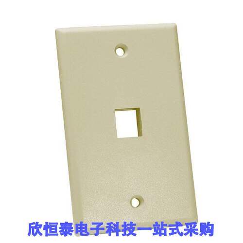 NFP-1017连接器 《 KEYSTONE WALL PLATE SINGLEGANG    》