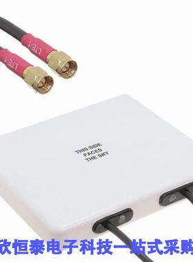 MA912.W.A.BI.001 null Taoglas Limited