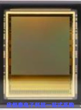 NOIV1SN016KA-GDI/NOIV1SN025KA-GTI/NOIV1SN025KA-GWC