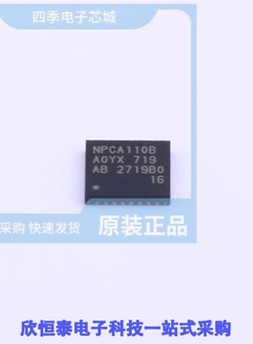 NPCA110BA0YX/NPCA110PA0YX/NPCA13-X