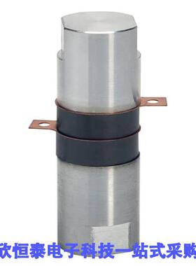 NBL15602S null KEMET