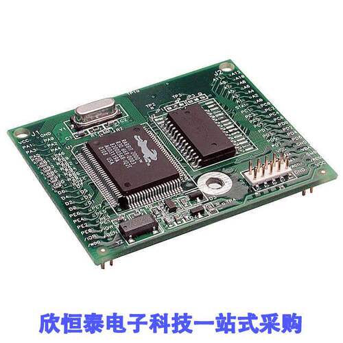 20-101-0404芯片 《 IC MOD RABBIT 2000 25.8MHZ 512KB    》