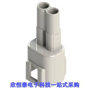 100连接器 CONN 5.80MM 002 2POS 000 HSG 572 PLUG