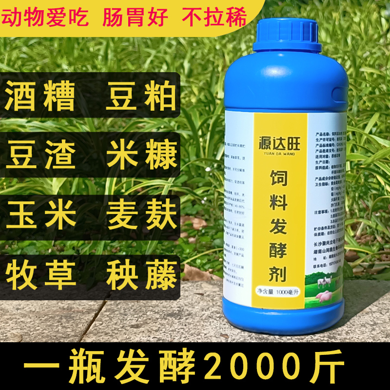 酒糟潲水养鱼玉米牧草黄青储饲料