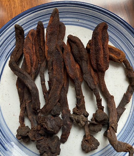 深山野生顶天柱回春草不老草野生草苁蓉500g包邮泡酒料煲汤泡水