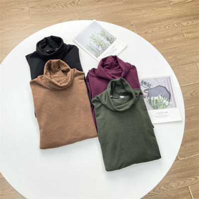 D5重磅款羊毛真丝基础款高领打底衫女25秋冬新款长袖纯色上衣T恤