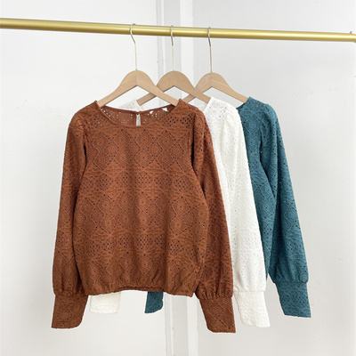 X2特惠原45 仅XS,S码蕾丝！北欧外单女镂空长袖套头圆领衬衫上衣