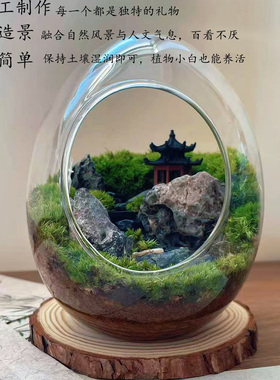 苔藓微景观生态瓶山水意境绿植装饰书房茶室造景步步高升桌面小景