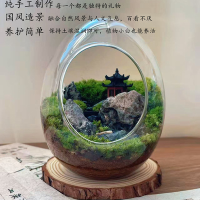 苔藓微景观生态瓶山水意境绿植装饰书房茶室造景步步高升桌面小景