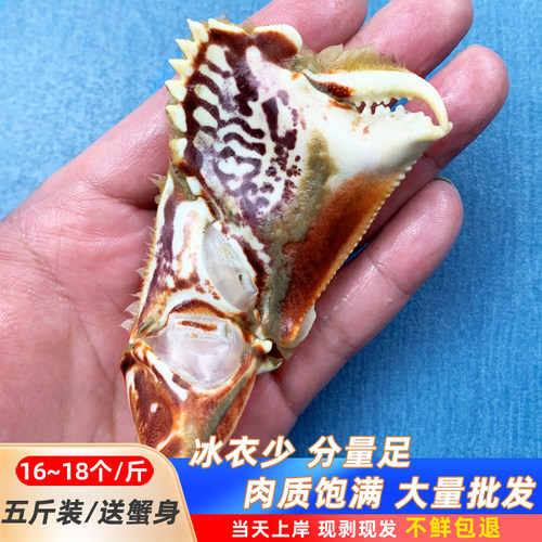 蟹钳蟹东山岛超划算海鲜水产