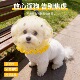狗狗网纱头套防偷吃嘴罩小型犬泰迪比熊透气面罩防乱吃防误食嘴套