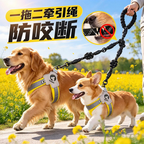 别人遛狗被拽跑，你轻松漫步遛狗