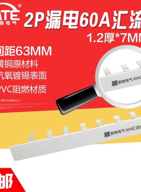 2P漏电60A汇流排加宽紫铜1.2*7 DZ47空开连接排断路器接线排KT008