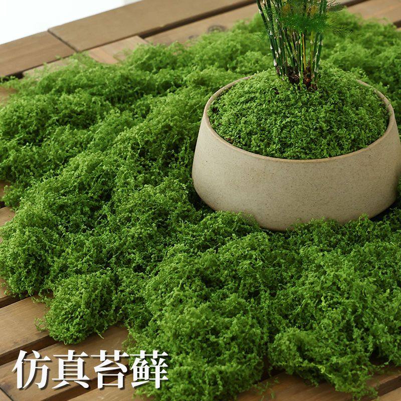 仿真苔藓手工diy材料苔藓植物装饰微观造景布置盆景盆栽铺面造景