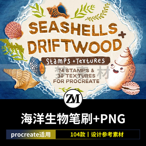procreate笔刷海洋生物图案贝壳海螺珊瑚水草免抠PNG线稿图片素材