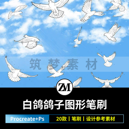 Procreate笔刷20枚白鸽鸽子飞鸟图形笔刷PS笔刷绘画插画设计素材