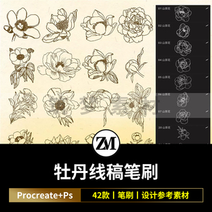 ps笔刷procreate笔刷牡丹花卉辅助线稿复古国画花朵装饰植物png图