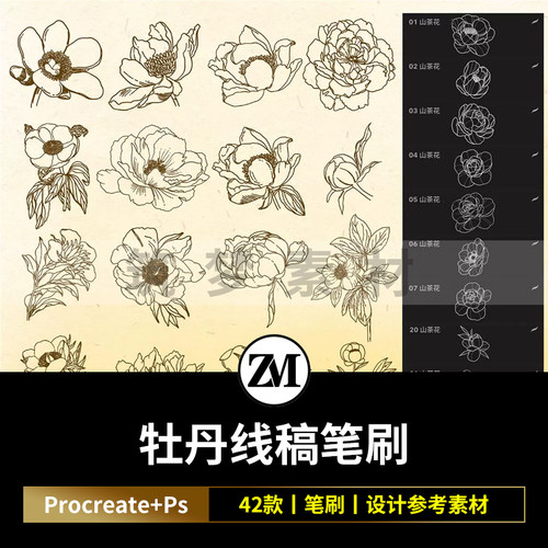 ps笔刷procreate笔刷牡丹花卉辅助线稿复古国画花朵装饰植物png图
