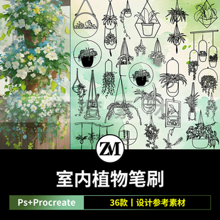 ps笔刷procreate笔刷悬挂植物绿植景观盆景室内设计园艺绿萝蕨类