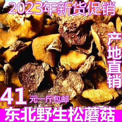 东北特产干货野生松菇500g松蘑菇