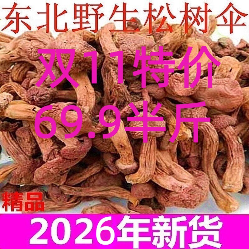 东北特产 野生红蘑菇干货 松蘑菇肉蘑菇松树伞钉食用菌 500g包邮
