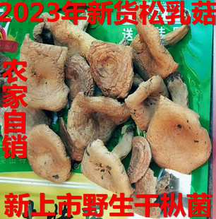 干枞菌松乳菇谷熟菌干货 野生铜绿菌雁来蕈寒菌重阳菌500克包邮