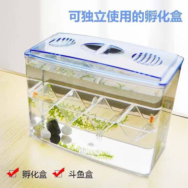 小鱼缸隔离盒观赏鱼繁殖鱼缸
