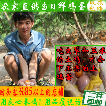 正宗农家野外散养新鲜散养土鸡蛋