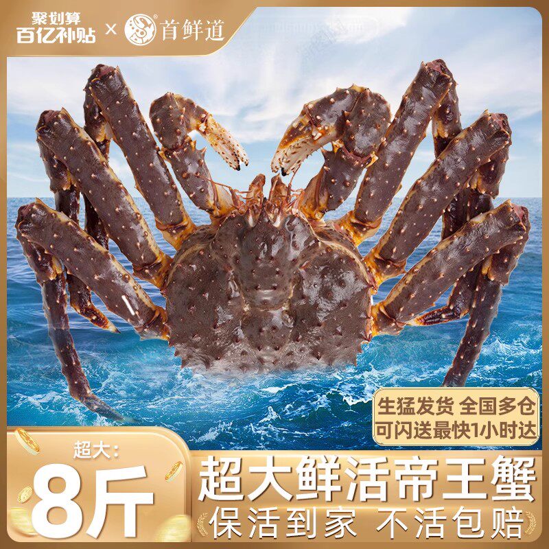 【百亿】鲜活帝王蟹俄罗斯原装进口帝王蟹鲜活海鲜大螃蟹