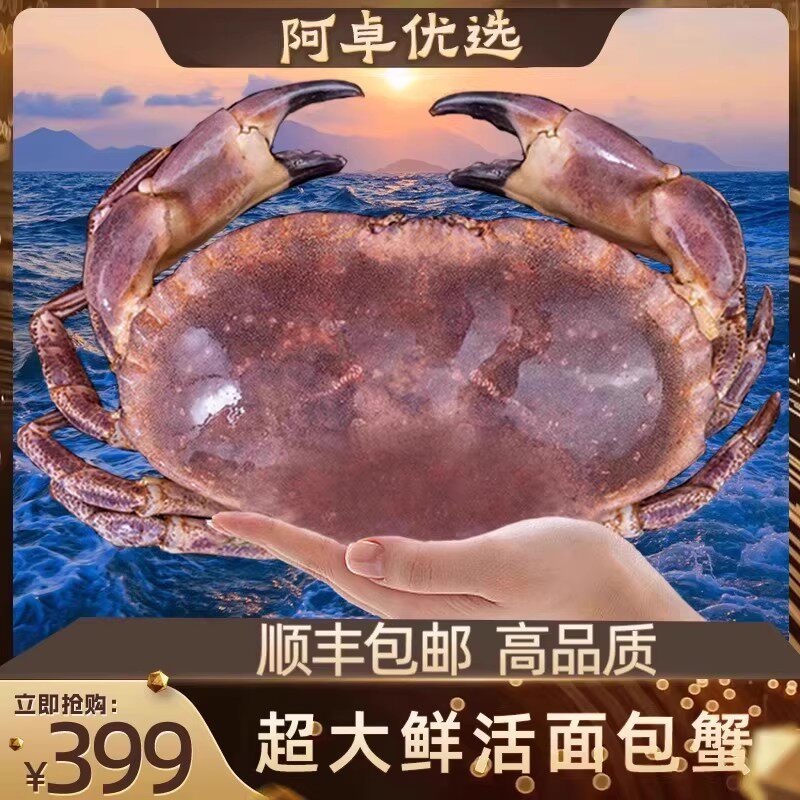 【阿卓推荐】鲜活超大面包蟹特大螃蟹送礼年货包活到家海鲜水产