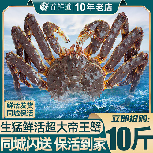 首鲜道鲜活超大帝王蟹