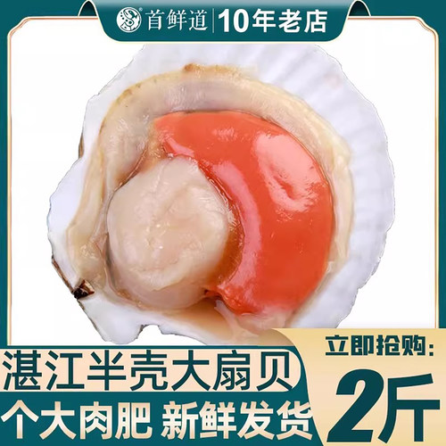 新鲜半壳大扇贝烧烤食材
