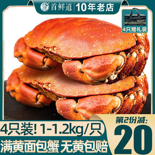 超大面包蟹4只装1kg每只