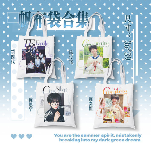 tf家族四代周边帆布袋双面单肩包