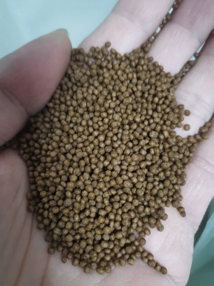 鱼场观赏鱼上浮饲料适合七星刀金丝猫银板关刀蓝鲨地图鹦鹉清道夫 - 实物图