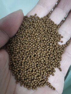 鱼场观赏鱼上浮饲料适合七星刀金丝猫银板关刀蓝鲨地图鹦鹉清道夫
