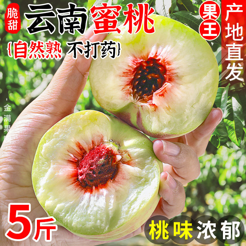 【精选大果】云南大理正宗冬桃新鲜桃子应季水果新鲜果冬桃 chirs