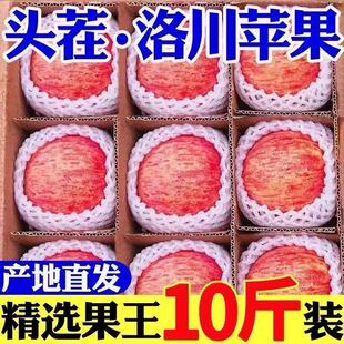 陕西正宗洛川红富士苹果新鲜当季一级大果脆甜冰糖心10斤整箱包邮